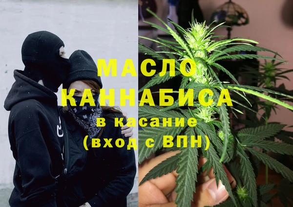 прущие грибы Вязьма