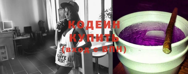 прущие грибы Вязьма