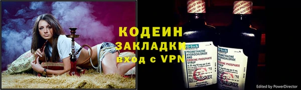 прущие грибы Вязьма