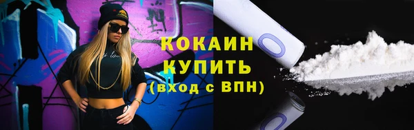 прущие грибы Вязьма