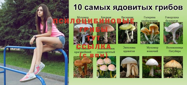 каннабис Вяземский