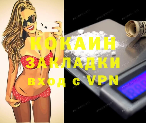 прущие грибы Вязьма