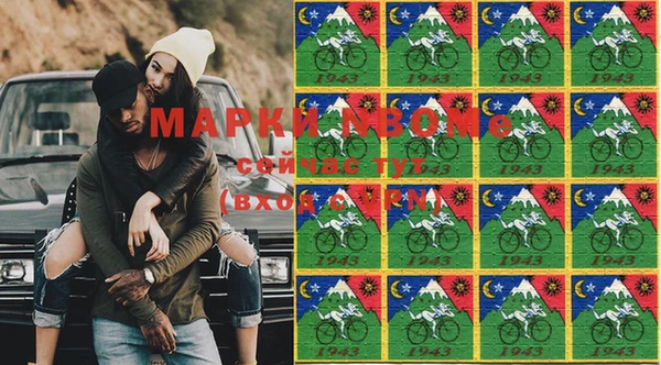 прущие грибы Вязьма