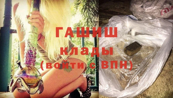 прущие грибы Вязьма
