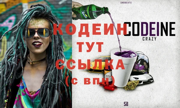 прущие грибы Вязьма