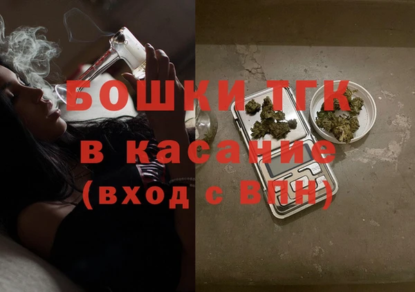 прущие грибы Вязьма