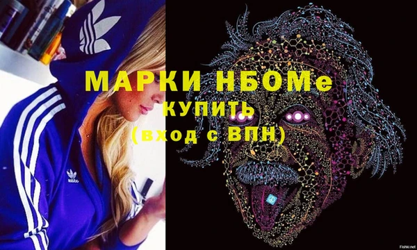 прущие грибы Вязьма