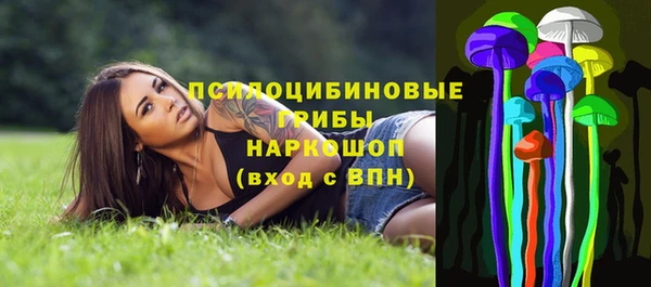 прущие грибы Вязьма