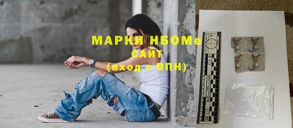 прущие грибы Вязьма