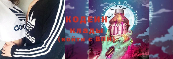прущие грибы Вязьма