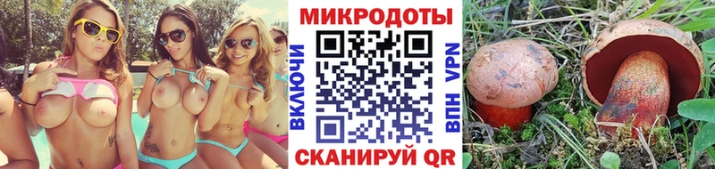 Купить  Облучье  Псилоцибиновые грибы прущие грибы 